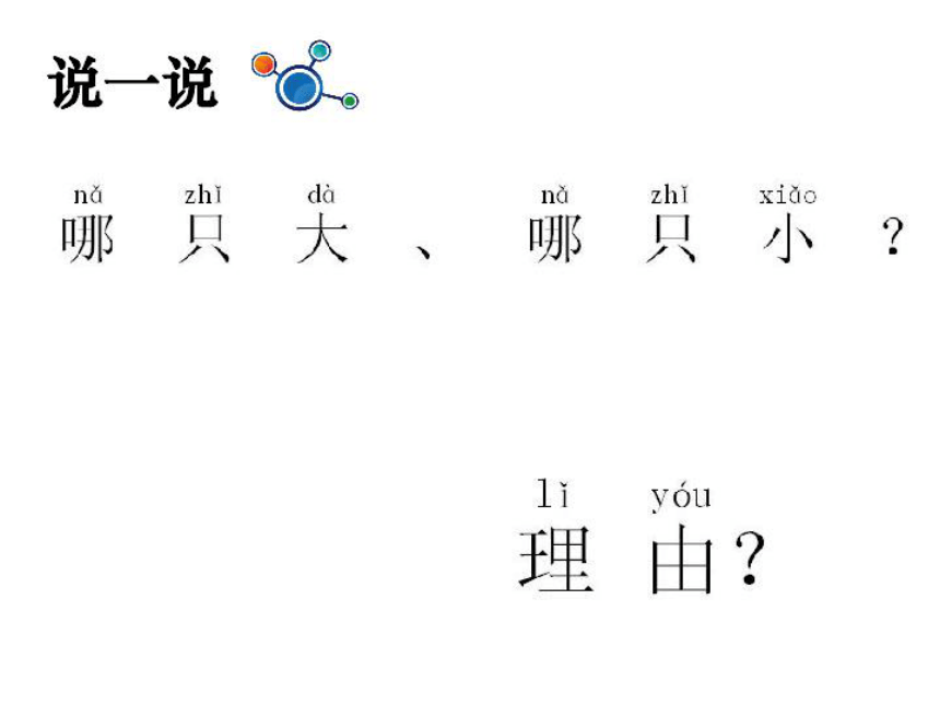 2.1在观察中比较 课件