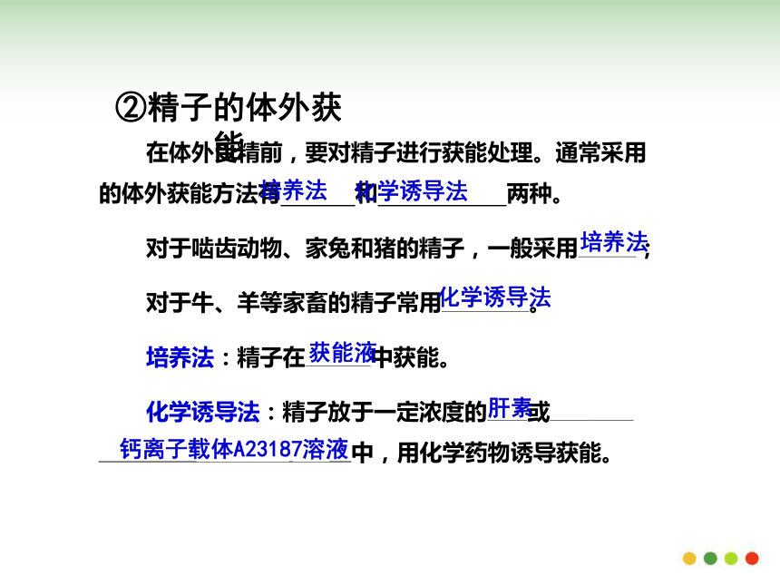 &选修三3.2体外受精和早期胚胎培养（备用）(共37张PPT）