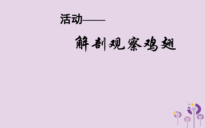 4.2生物体的器官、系统课件（22张PPT）