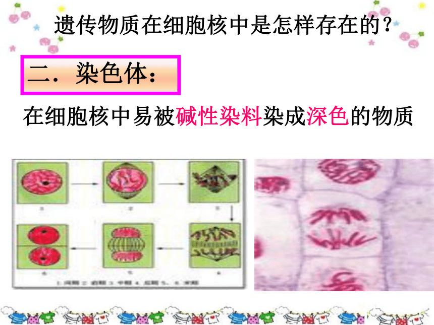 济南版八年级上册第七单元第四章第一节 遗传的物质基础课件 （共25张PPT）