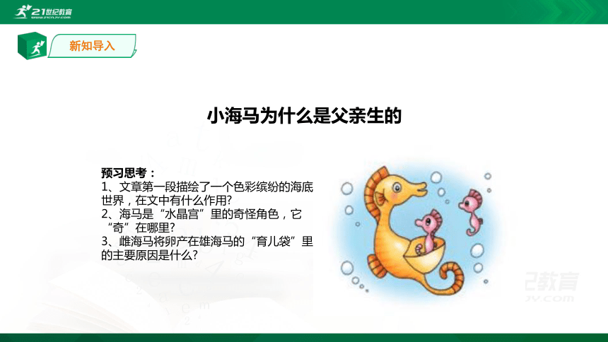 课件预览