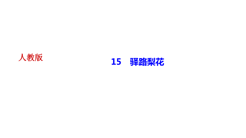 15 驿路梨花 讲练课件——2020-2021学年湖北省黄冈市七年级下册语文部编版(共33张PPT)