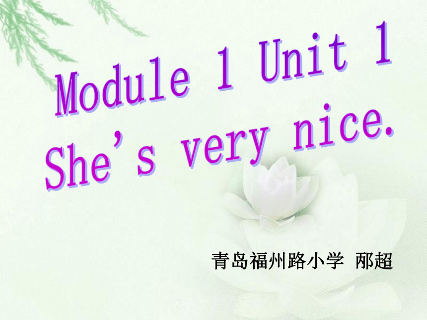 Module 1 Unit 1 She’s very nice (1)课件