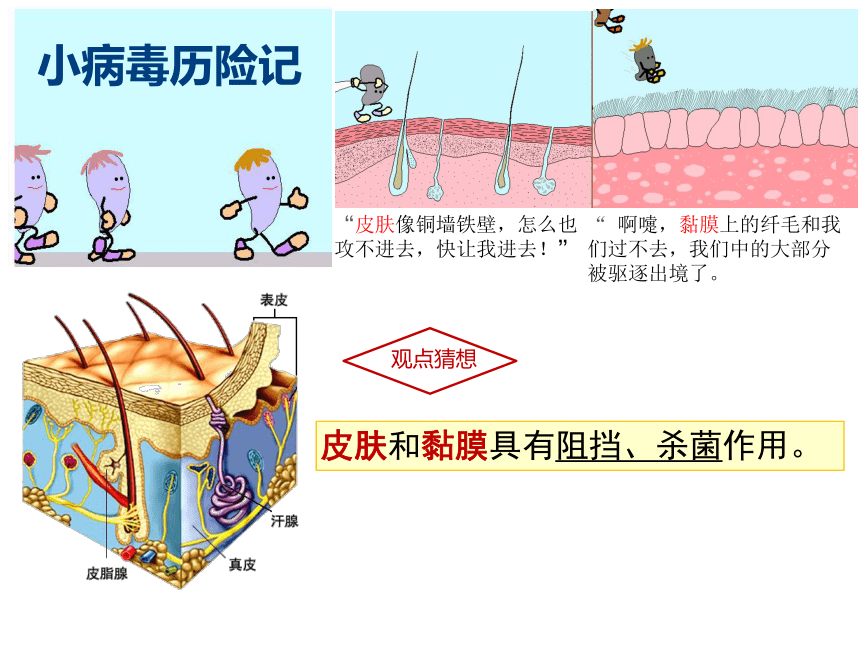 冀教版七年级下册生物 6.1 免疫 课件（共37张PPT）