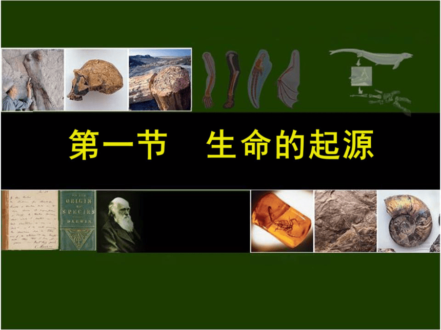 冀教版八年级下册生物631生命的起源课件38张ppt