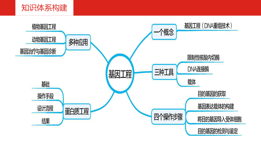 2019届高考生物一轮复习课件：第十单元专题 二十八 基因工程 (共86张PPT)