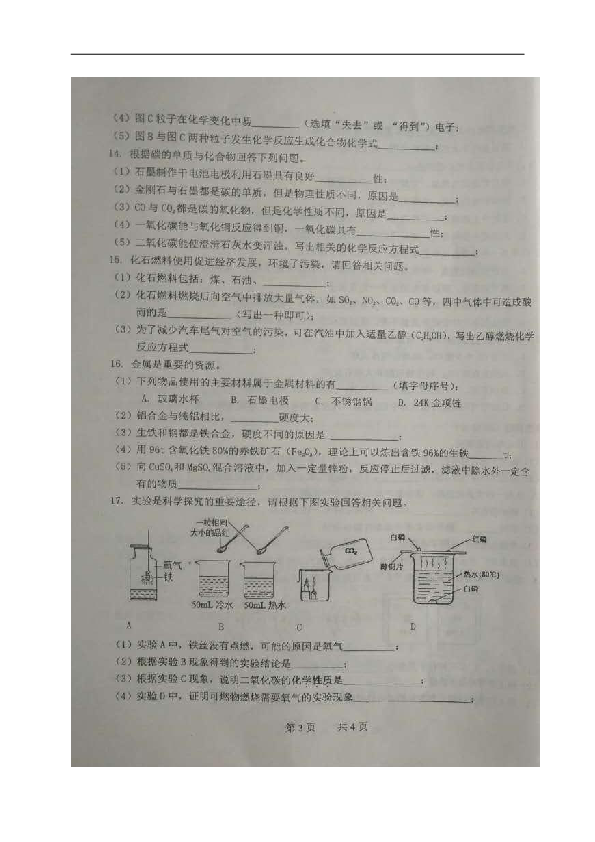吉林省长春新区2019届九年级上学期期末考试化学试题（图片版，含答案）
