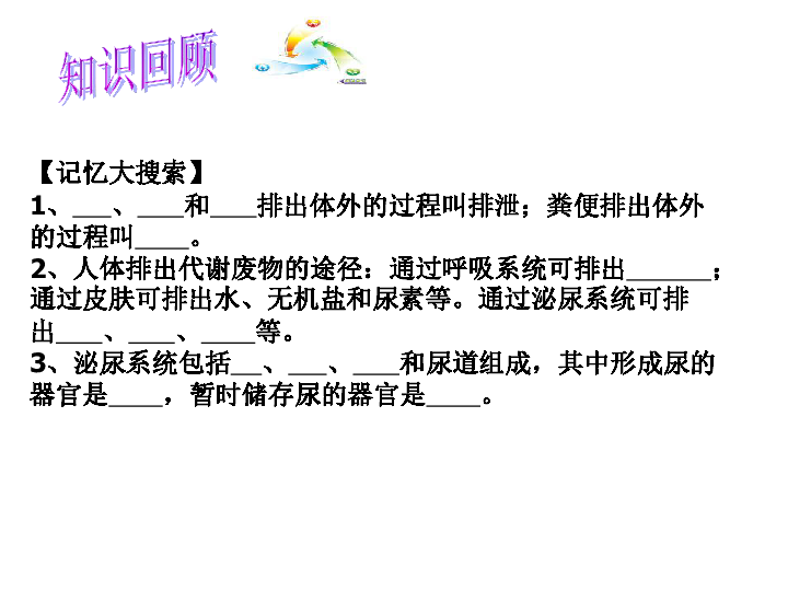北京版七下生物  7.2 尿液的形成和排出  课件（14张PPT）