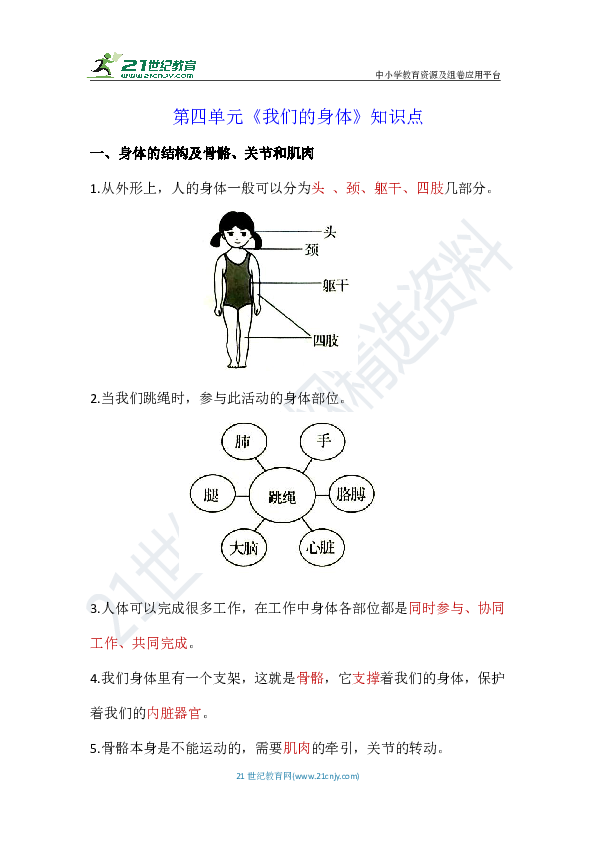 教科版四上科学第四单元《我们的身体》知识点