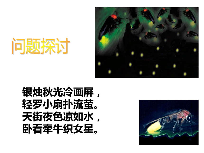 人教版必修一第五章第二节细胞的能量“通货”—ATP（共22张PPT）