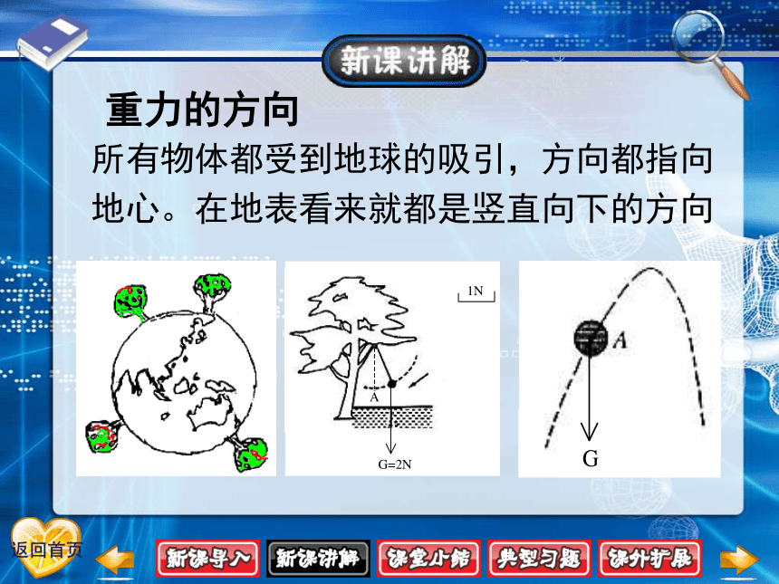 物理八下第七章第3节重力课件(共30张PPT)