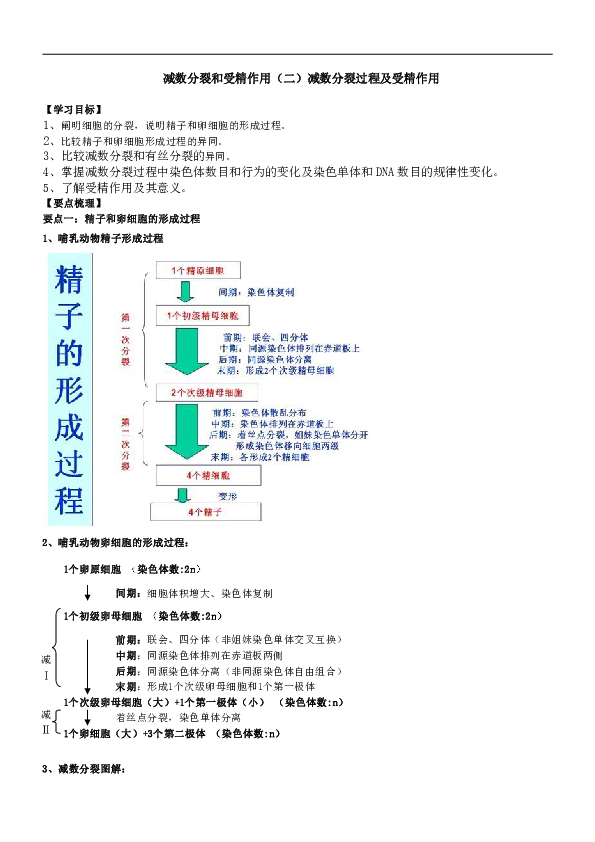 人教版高中生物必修二知识讲解，巩固练习（教学资料，补习资料）：18减数分裂和受精作用（二）减数分裂