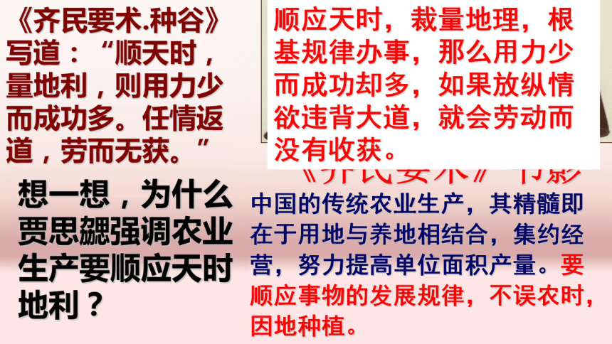 人教版初中历史七年级上册第四单元第20课魏晋南北朝的科技与文化课件31张