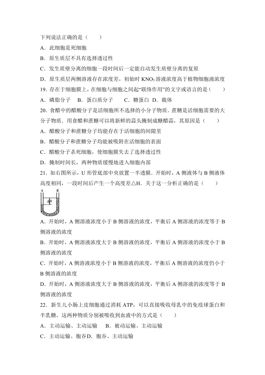 福建省福州市八县一中联考2016-2017学年高一（上）期末生物试卷（解析版）