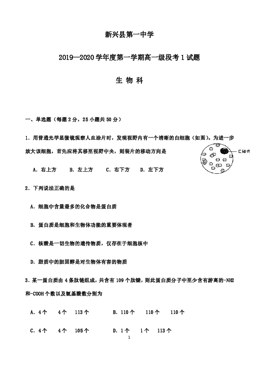 广东省新兴县第一中学2019-2020学年高一上学期10月月考（段考1）生物试题【解析】