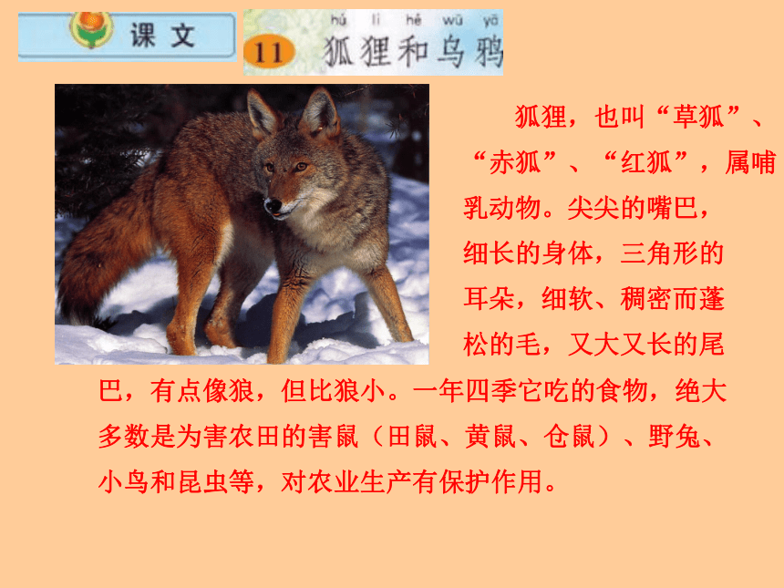 湘教小学语文三下《6寓言二则狐狸和乌鸦》PPT课件 (2)