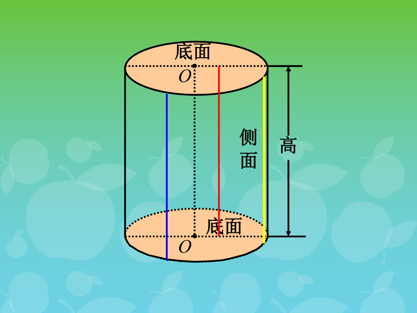 数学六年级下浙教版4.16圆柱与圆锥的认识 课件 (54张)