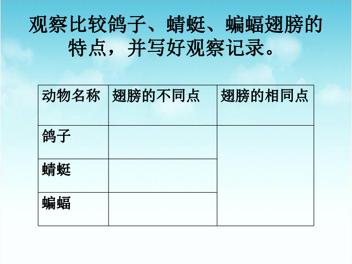 2.4飞翔的精灵 课件（17张PPT）