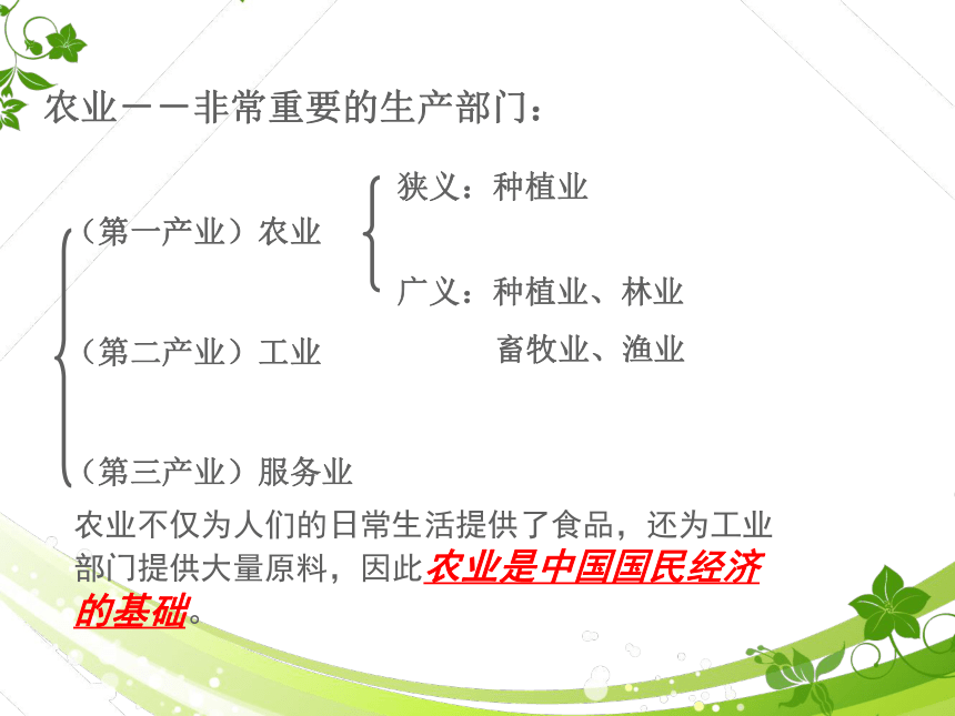 上海教育版地理七下《农业及其地区差异》ppt课件