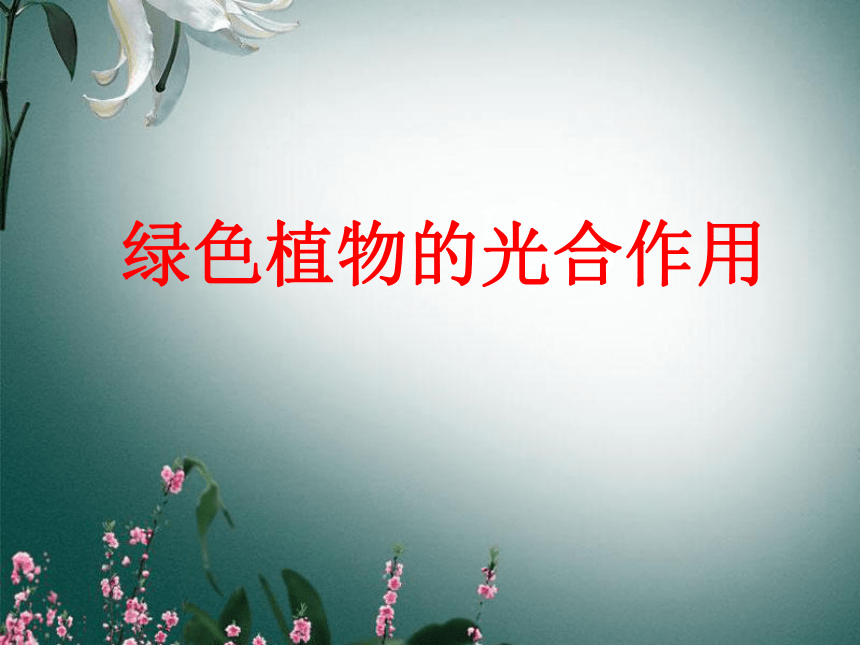 北京版七年级上册生物4.2-绿色植物的光合作用课件(共20张PPT)
