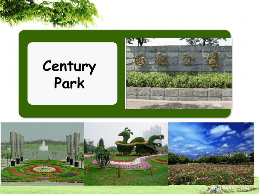 Unit 2 At Century Park 课件+素材