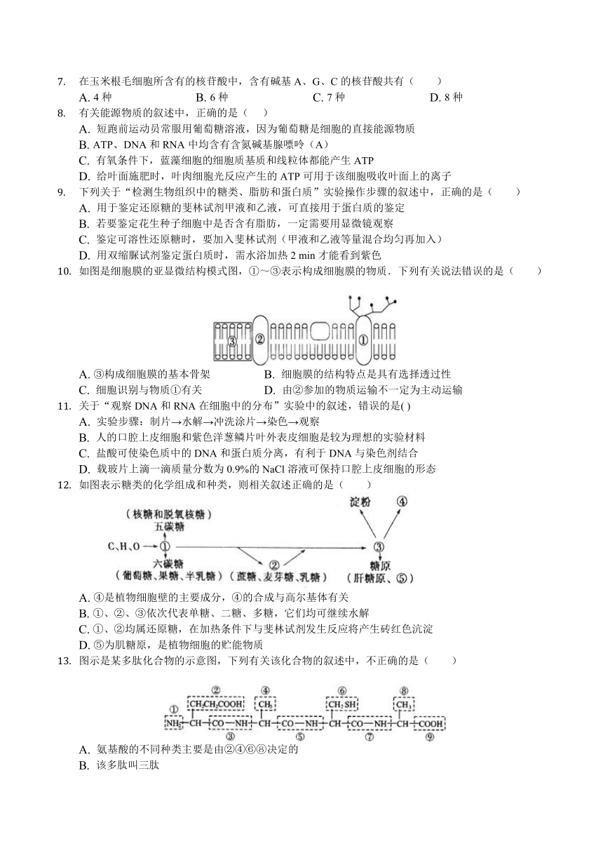 内蒙古北京八中乌兰察布分校2017-2018学年高二下学期期中考试生物试题