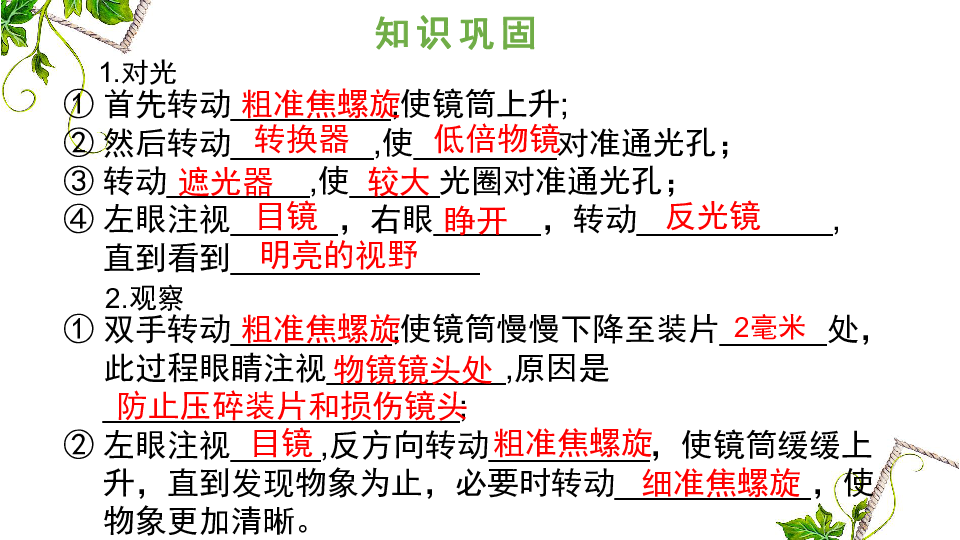 第一节细胞的结构和功能课件（14张ppt）