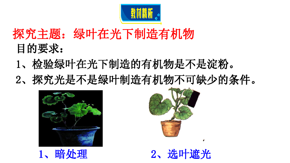 绿色植物是生物圈中有机物的制造者课件(共32张PPT)