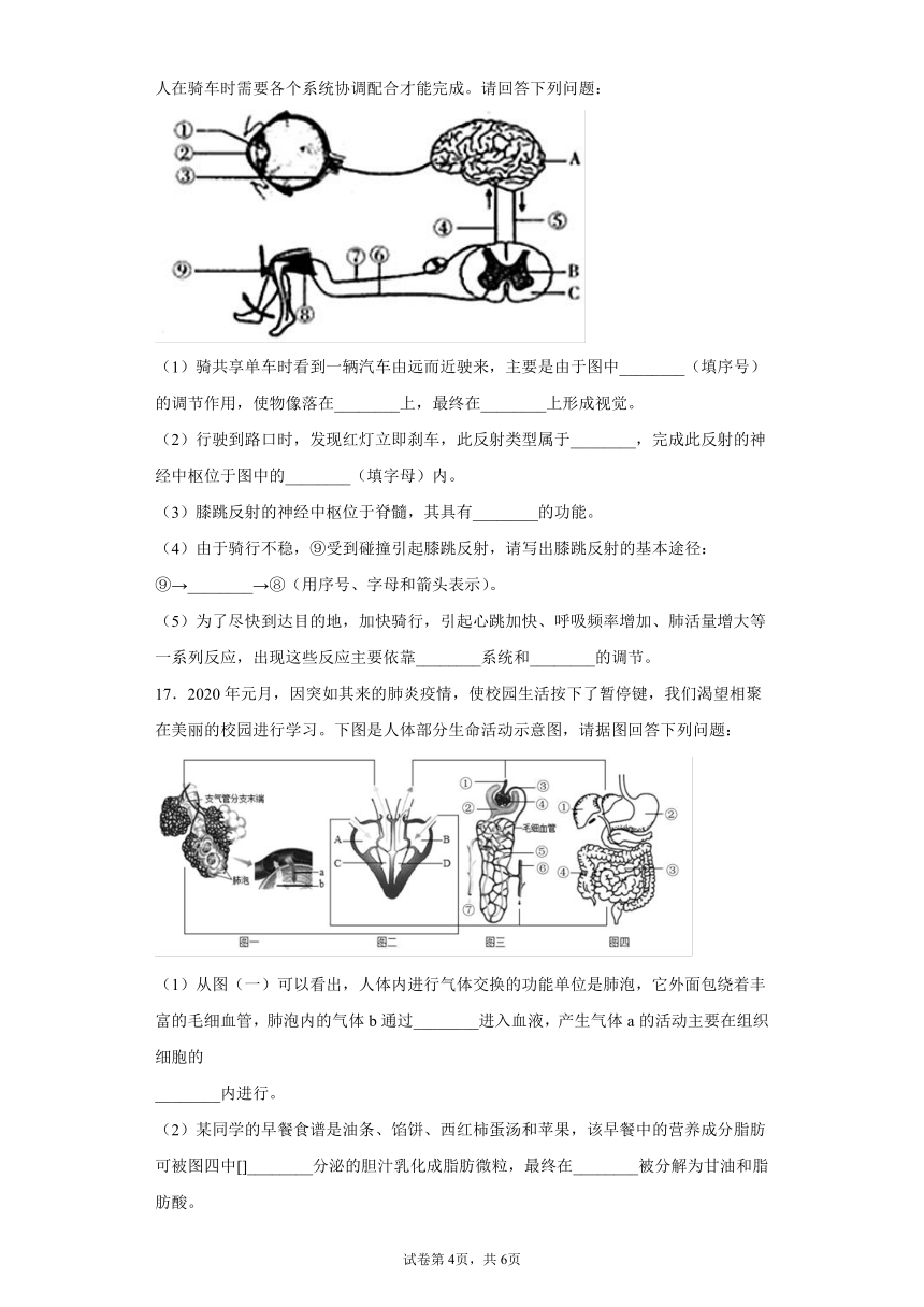 西藏拉萨市2020-2021学年七年级下学期期末生物试题(word版含答案)