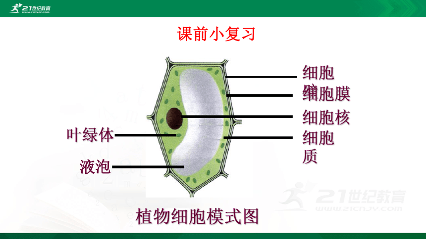 2.1.4 细胞的生活（课件）(共39张PPT)