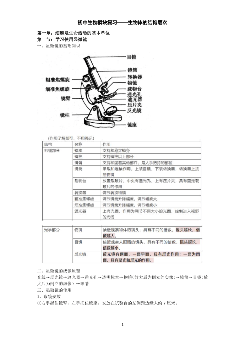 初中生物模块复习（七上2）——生物体的结构层次