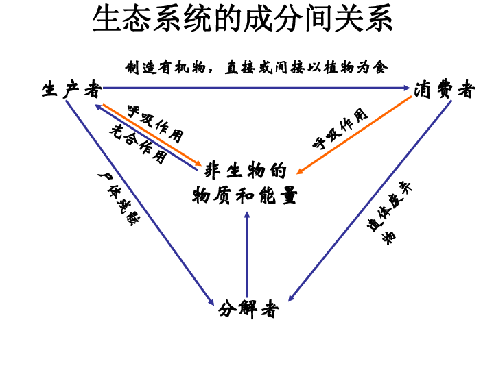 生态系统理论图片图片