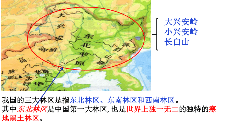 511红松之乡课件45张ppt