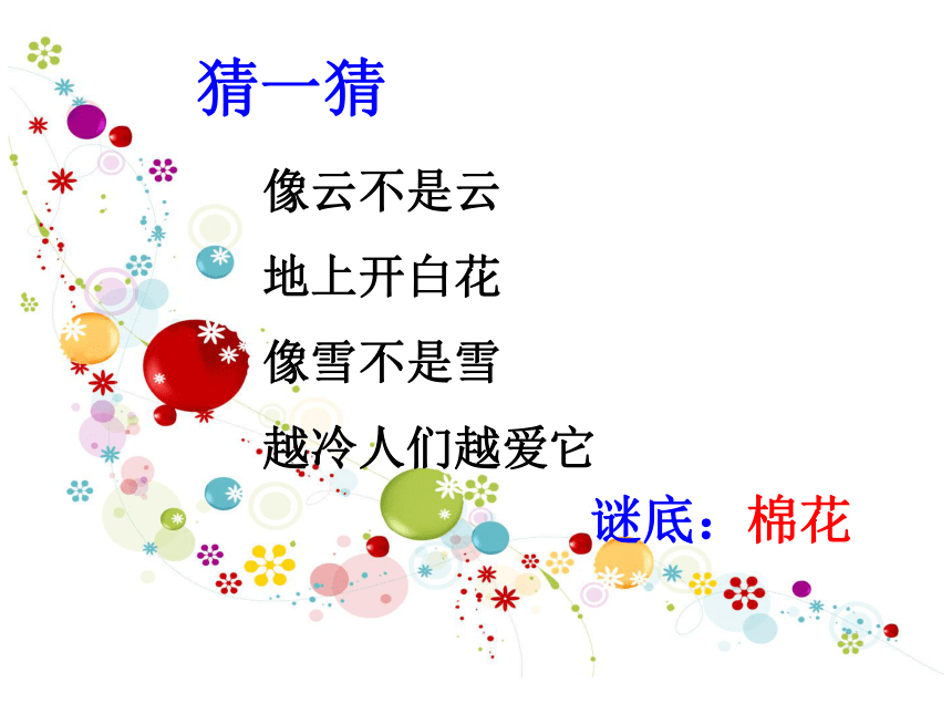 《棉花姑娘》课件1