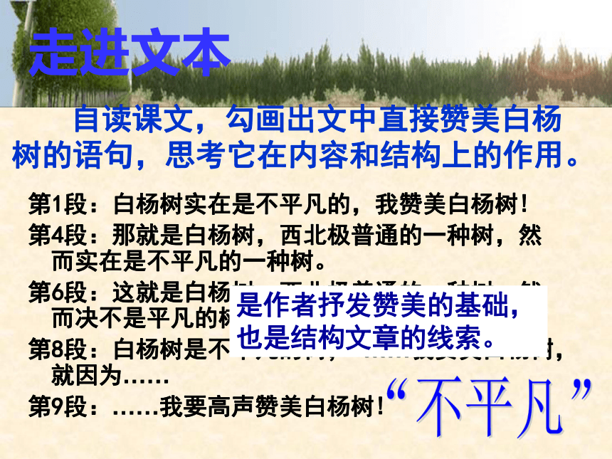 白杨礼赞 课件