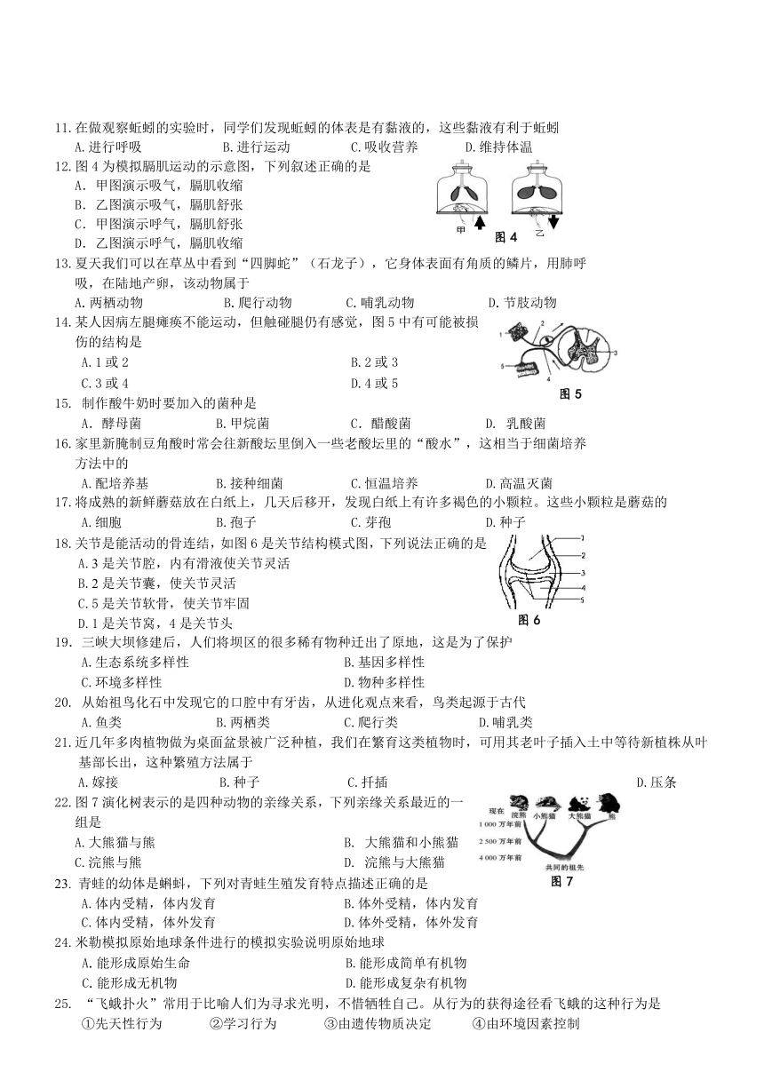 2017年柳州市柳南区中考第三次模拟试题 生物
