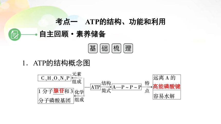 【备考2022一轮复习】必修1 第3单元 第2讲 ATP与细胞呼吸（共103张PPT）