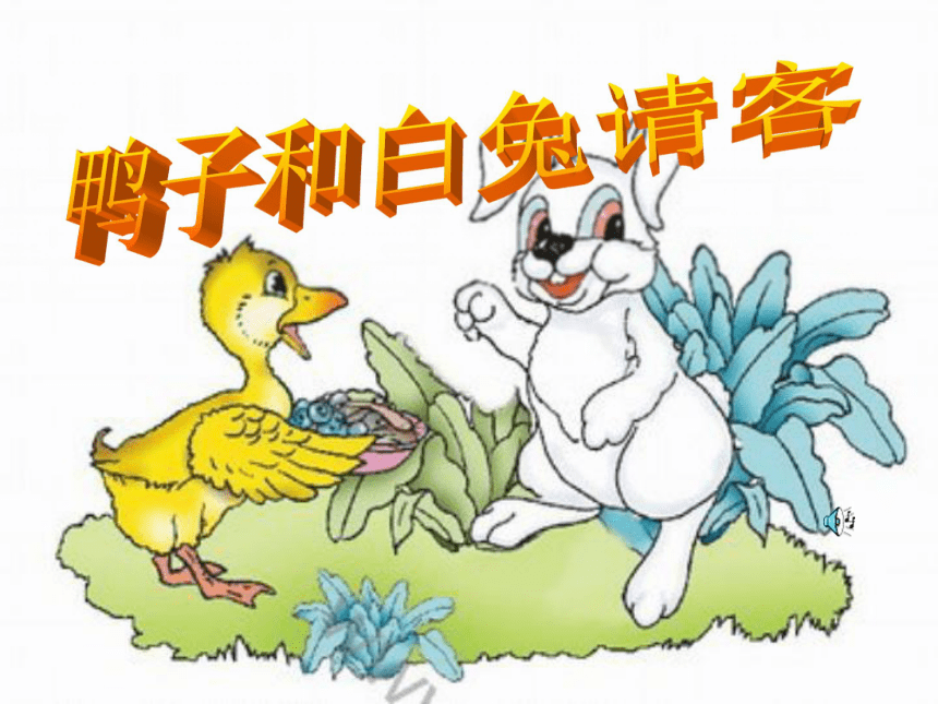 鸭子和白兔请客  课件