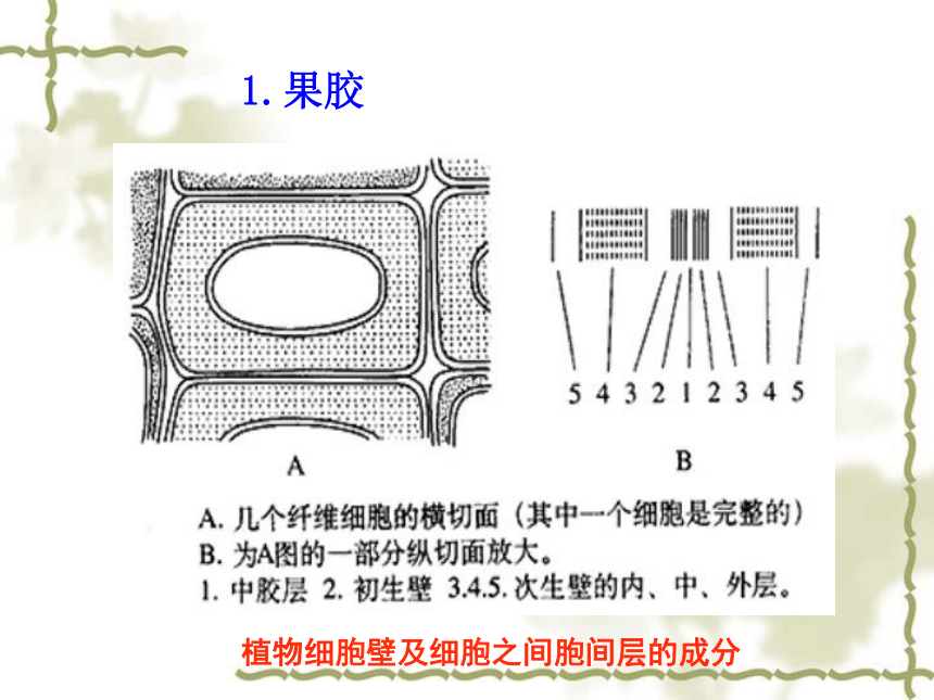 2016-2017学年度人教版高中生物 选修1专题四课题 1 果胶酶在果汁生产中的作用 课件（23张）