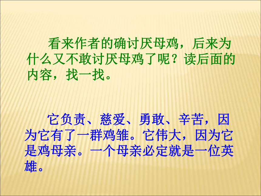 母鸡课件