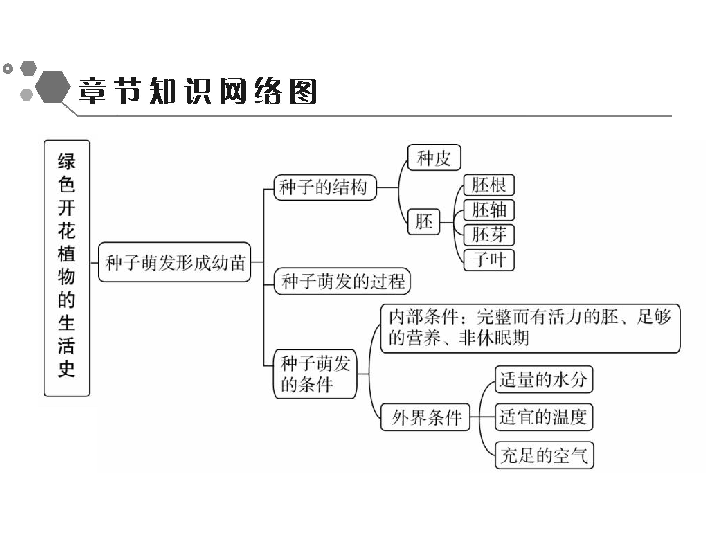 生物种子思维导图图片