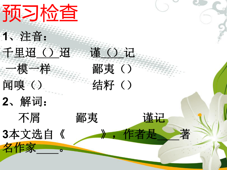 课件预览