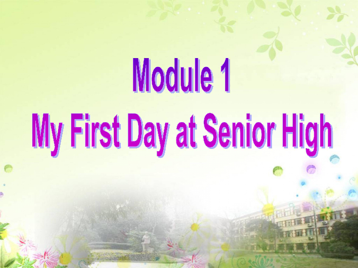 外研版高中英语 必修1Module1  My First Day at Senior High Period 3 Grammar课件(共29张PPT)