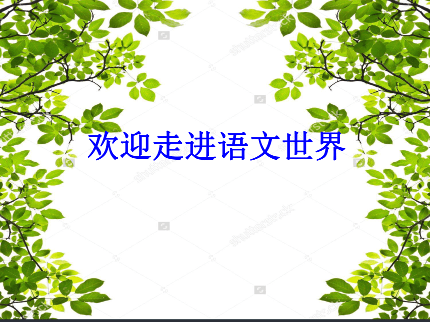 课件预览