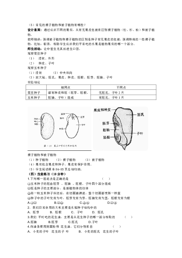 人教版七年级上册生物教案3.1.2种子植物