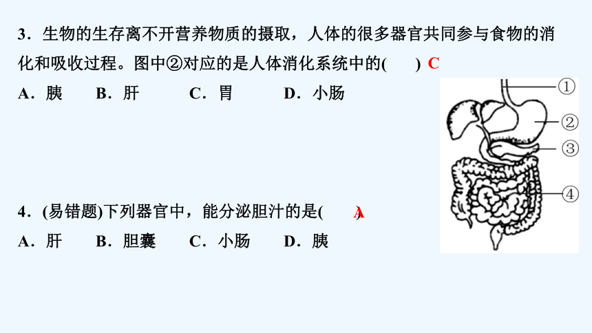 生物七年級下冊第二章人體的營養第二節消化和吸收第1課時消化系統和