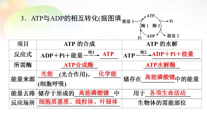 【备考2022一轮复习】必修1 第3单元 第2讲 ATP与细胞呼吸（共103张PPT）