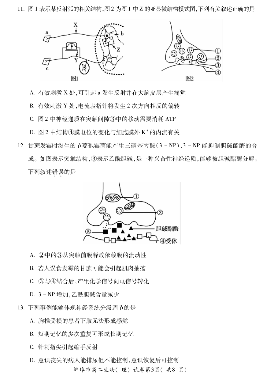 安徽省蚌埠市20212022学年高二上学期期末学业水平监测生物试题pdf版