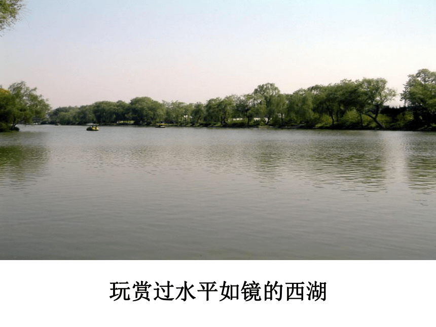桂林山水    课件