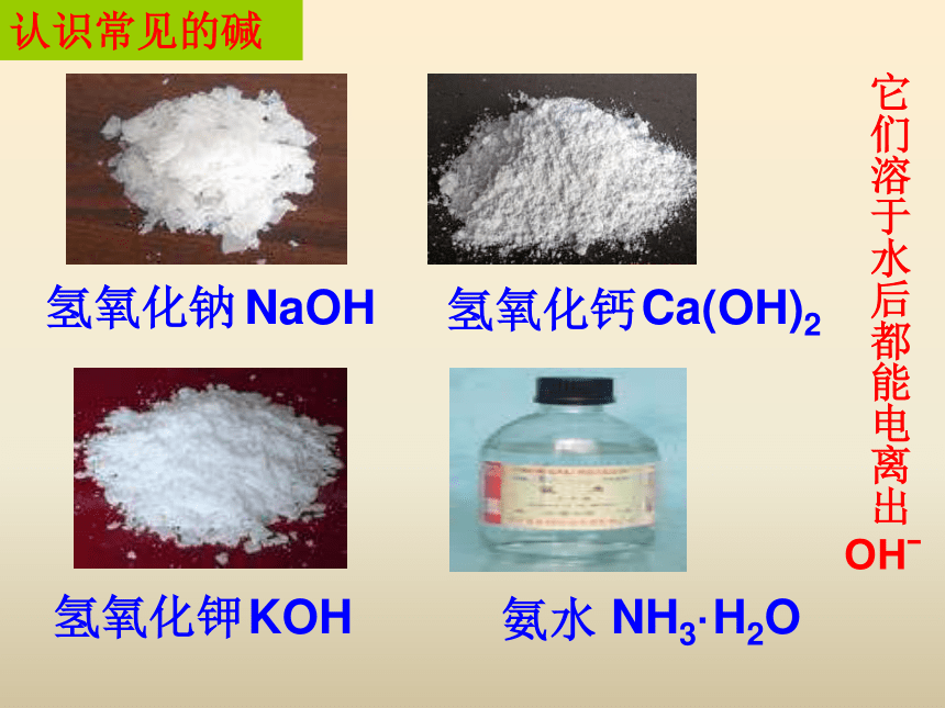 第二节 碱及其性质(13张PPT）